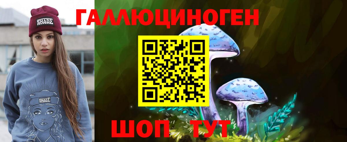 ГАШ Елабуга